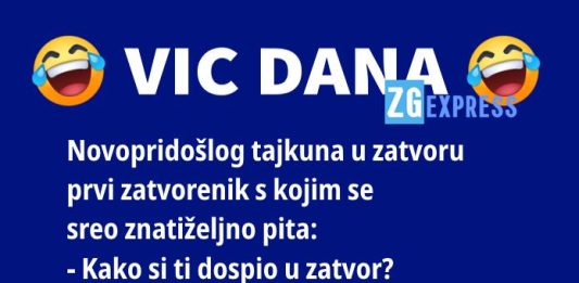 Vic dana