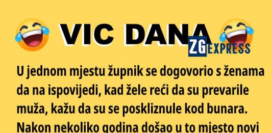 Vic dana