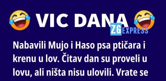 Vic dana