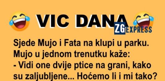 Vic dana