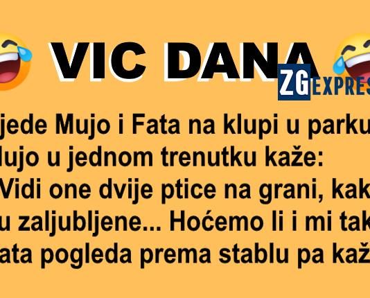 Arhiva Vicevi - Stranica 3 od 72 - ZG express Arhiva Vicevi - Stranica 3 od 72 - ZG express