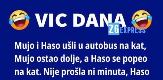 Vic dana